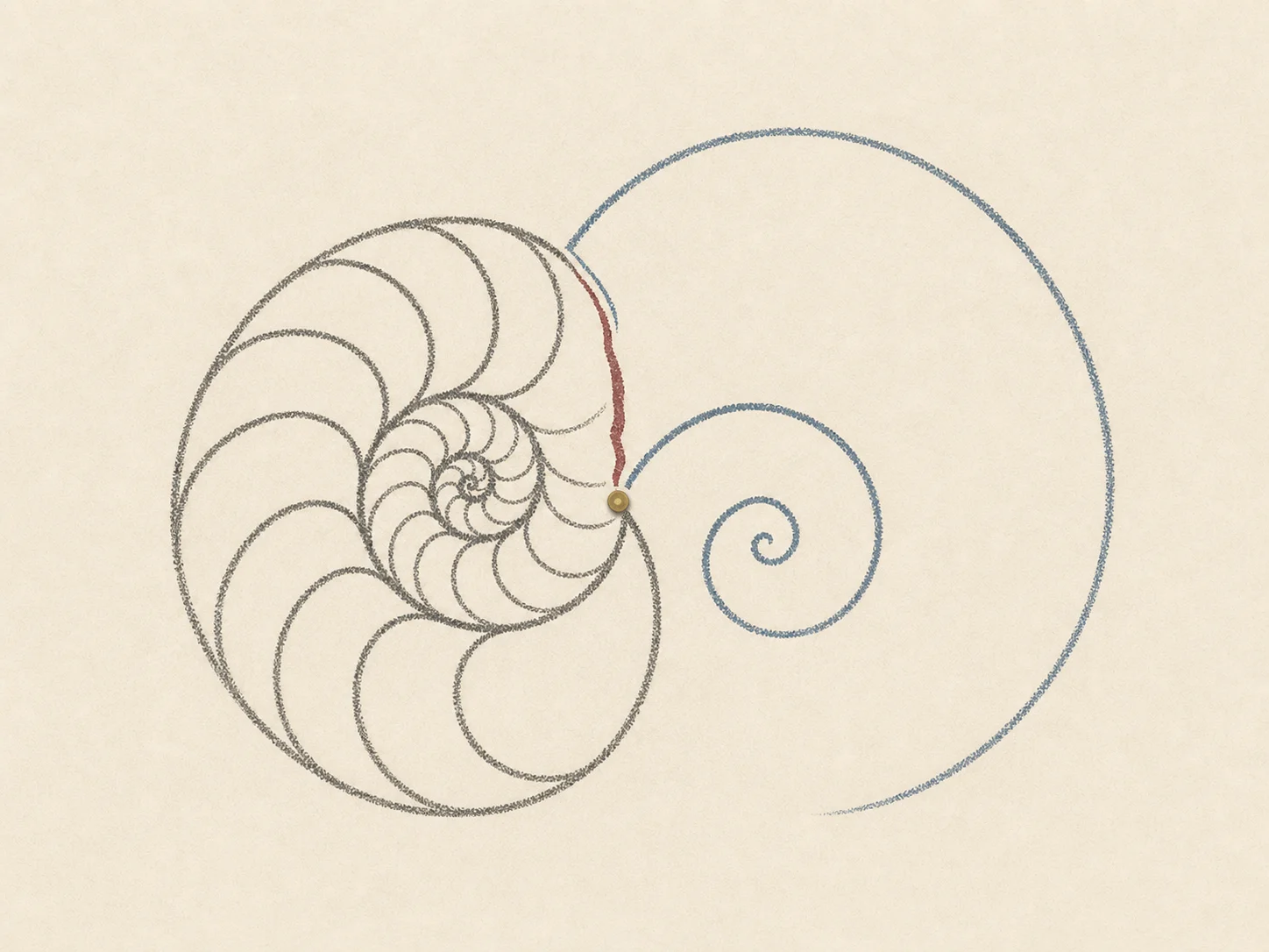 A graphite shell splits as its spiral continues into a larger blue form.